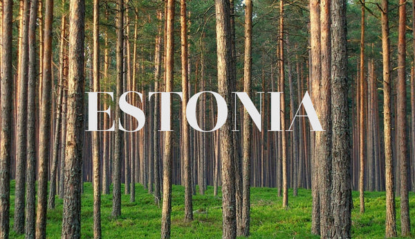 Visual Diary: Estonia