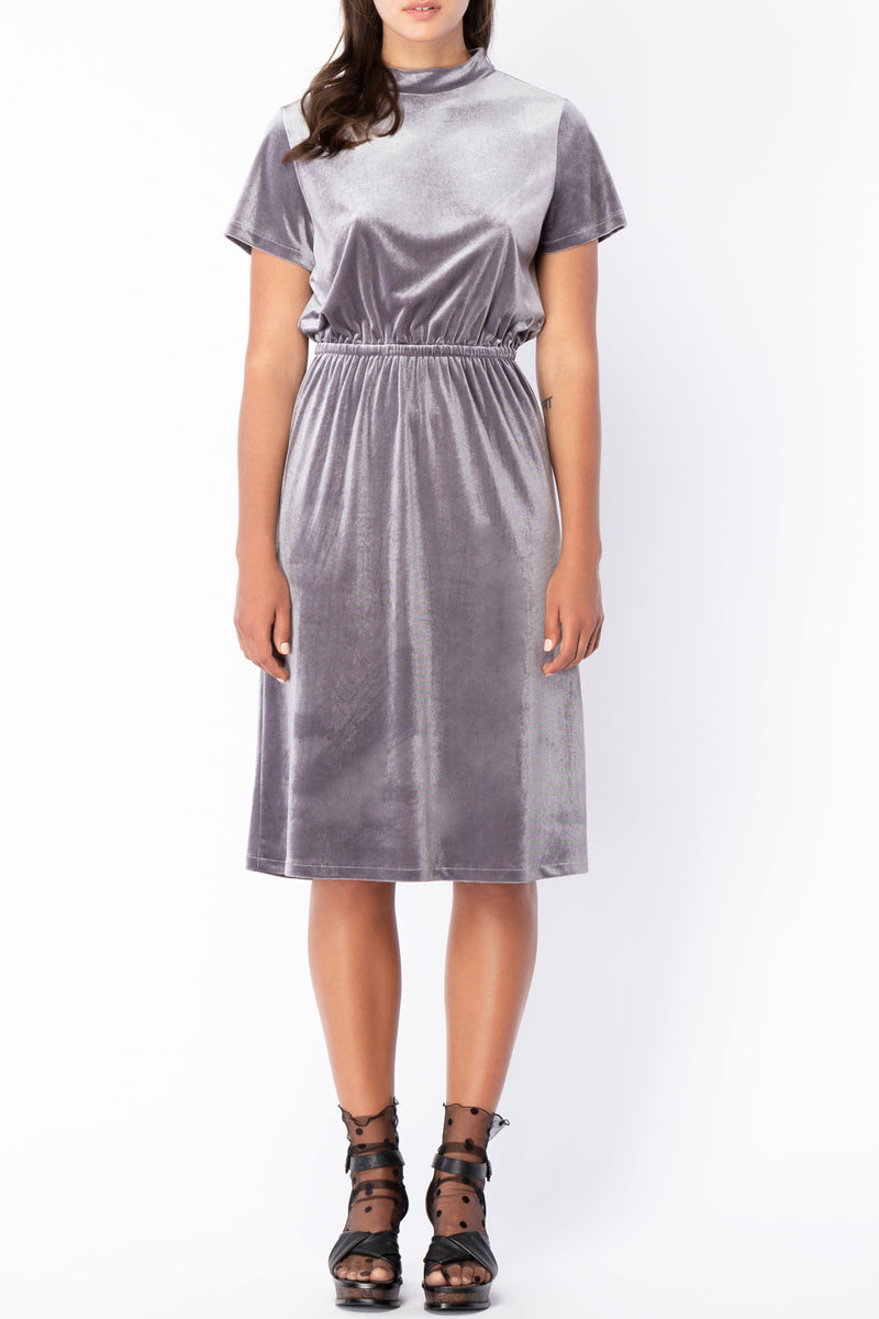 RARE FIND! - Nele Velvet Dress - Silver