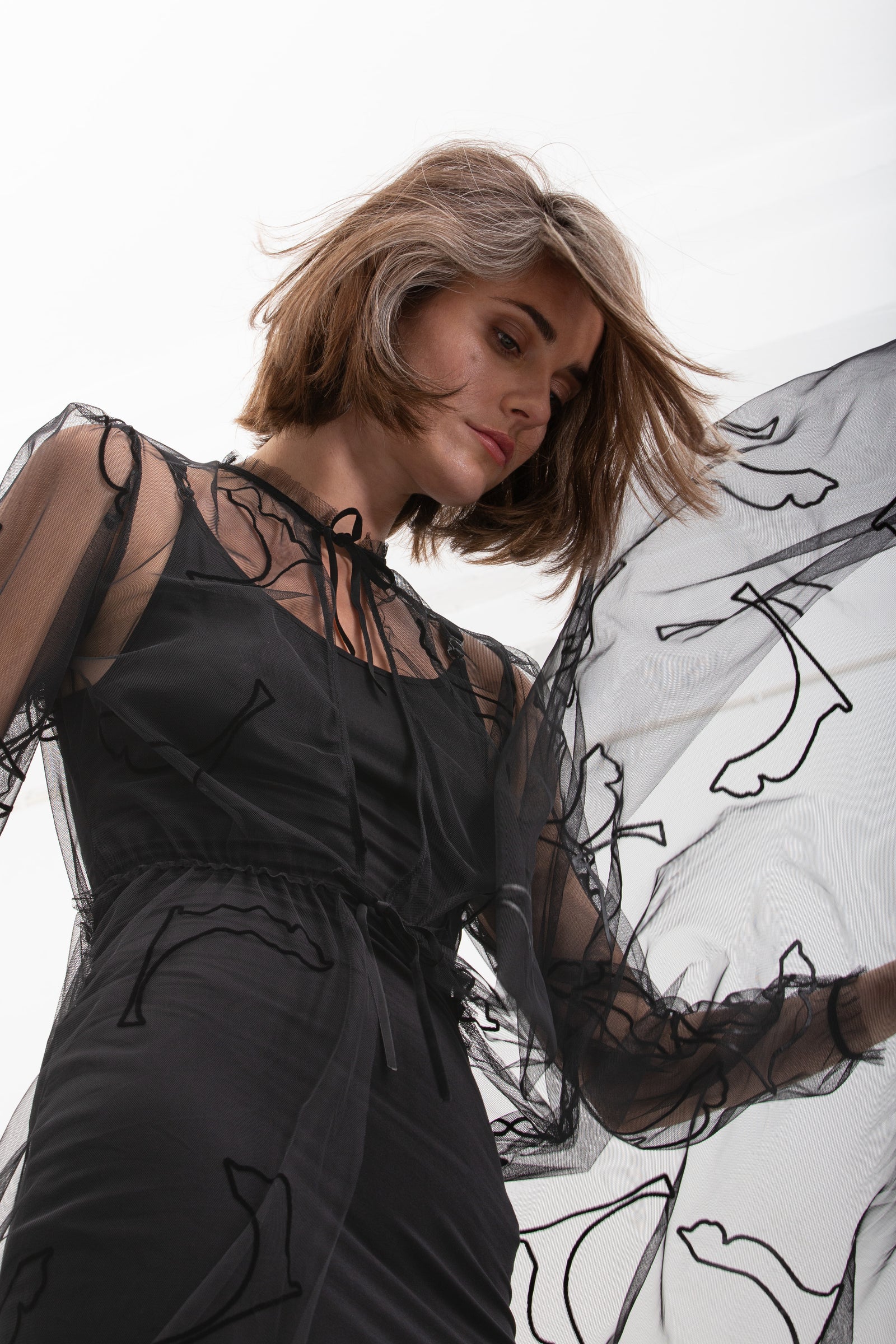 Susan Velvet Cat Tulle Dress - Black – Kriss Soonik