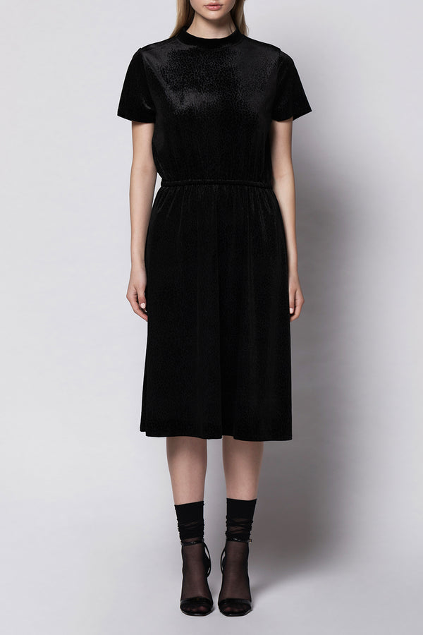 LAST ONE! - Nele Velvet Dress - Black Panther